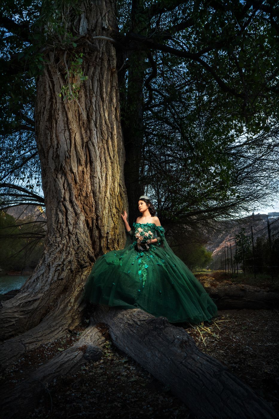 Quinceañera con vestido verde junto a un árbol