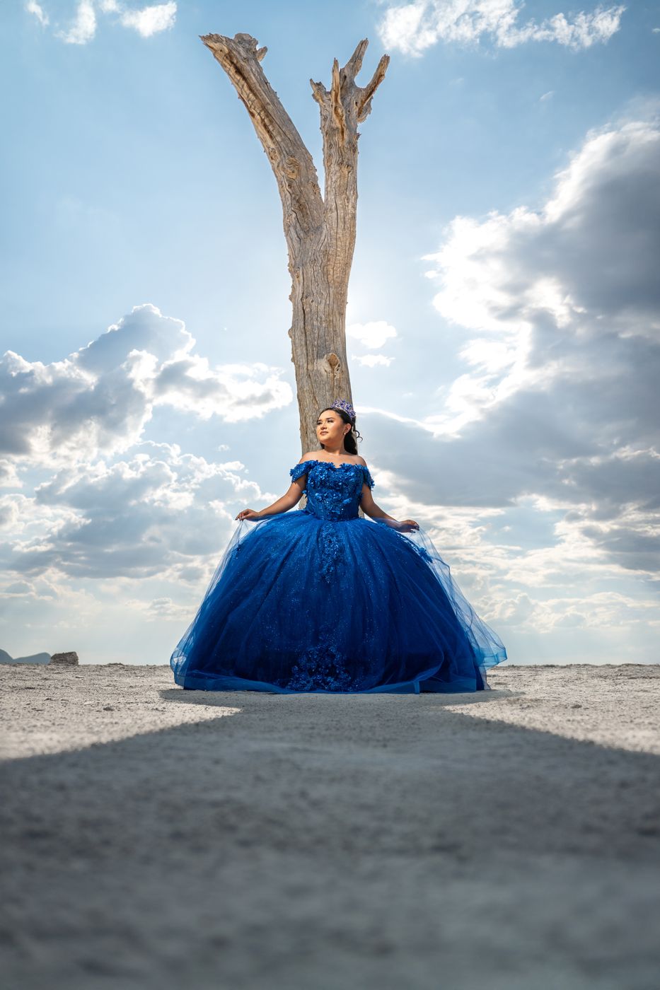 Quinceañera con vestido azul frente a un árbol seco y un cielo con nubes